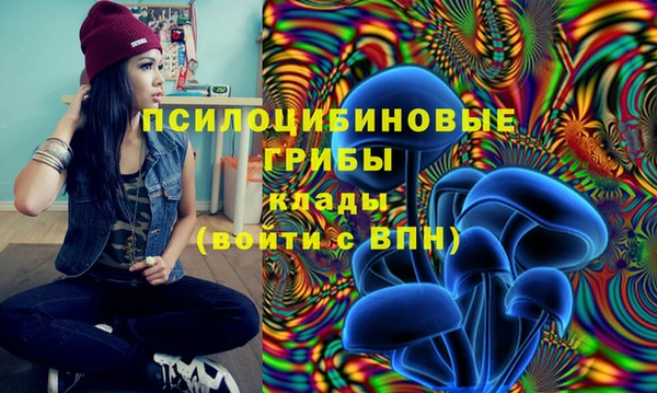 бутират Россошь