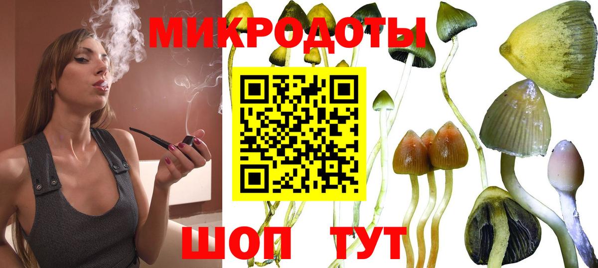 Псилоцибиновые грибы Magic Shrooms  Псилоцибиновые грибы Psilocybe  Кирово-Чепецк  Вход с VPN 